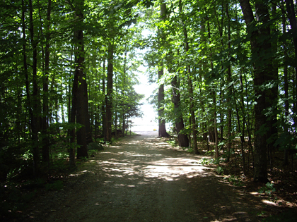 waterview2.jpg